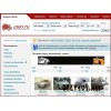 Auto.ru