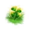 Farmrussia.com