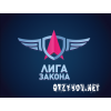 Общественная организация Лига Закона