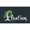 Plantium – продажа семян