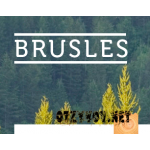 Отзывы людей о Производитель пиломатериалов BRUSLES
