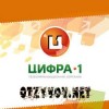 Телекоммуникационная компания Цифра Один