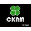 Веб-студия СКАМ