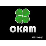 Отзывы людей о Веб-студия СКАМ