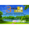Земля 21 век