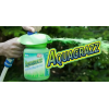 Жидкий газон AquaGrazz