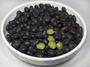 chernaya-soya-v-tarelke
